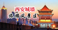 奸淫爽文中国陕西-西安城墙旅游风景区